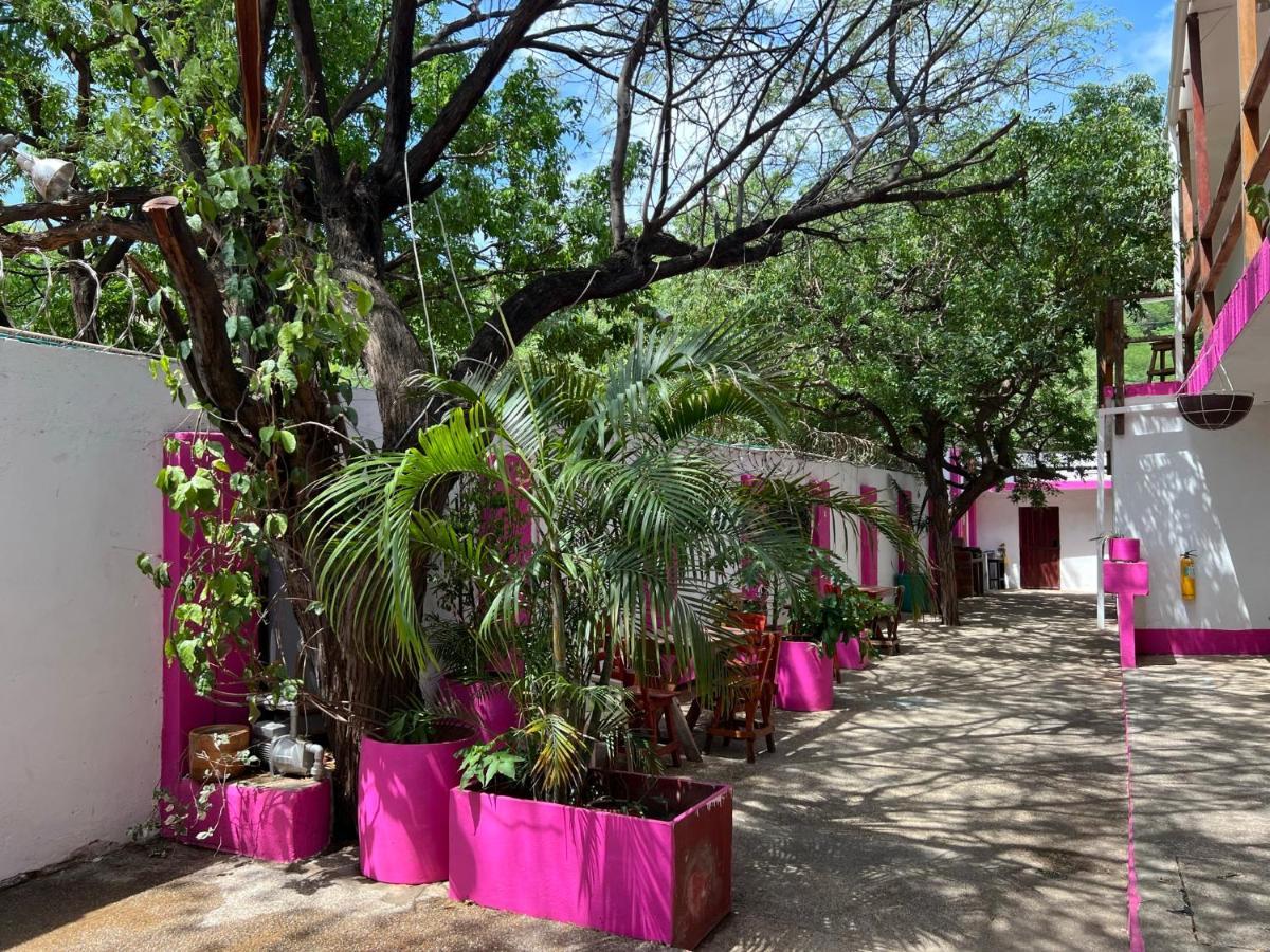 Love Beach Hostel Guest house
